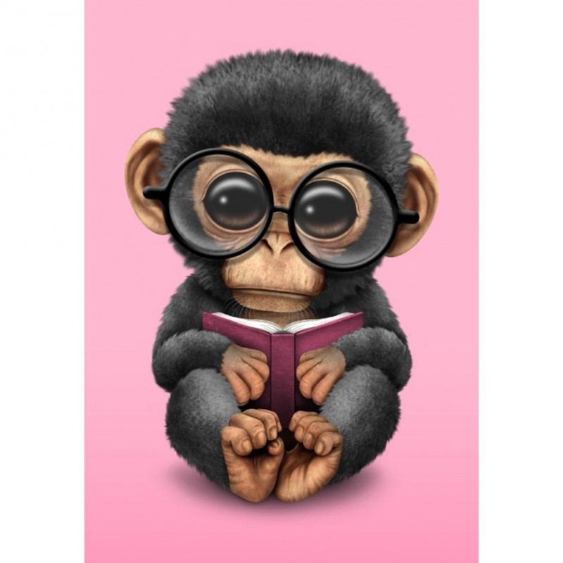 Monkey-Full Round Di...