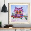 Cute Owl -Crystal Rhinestone Diamond Painting(30*30cm)