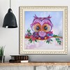 Cute Owl -Crystal Rhinestone Diamond Painting(30*30cm)