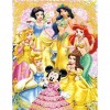 Princess - Full Round Diamond Painting(40*50cm)