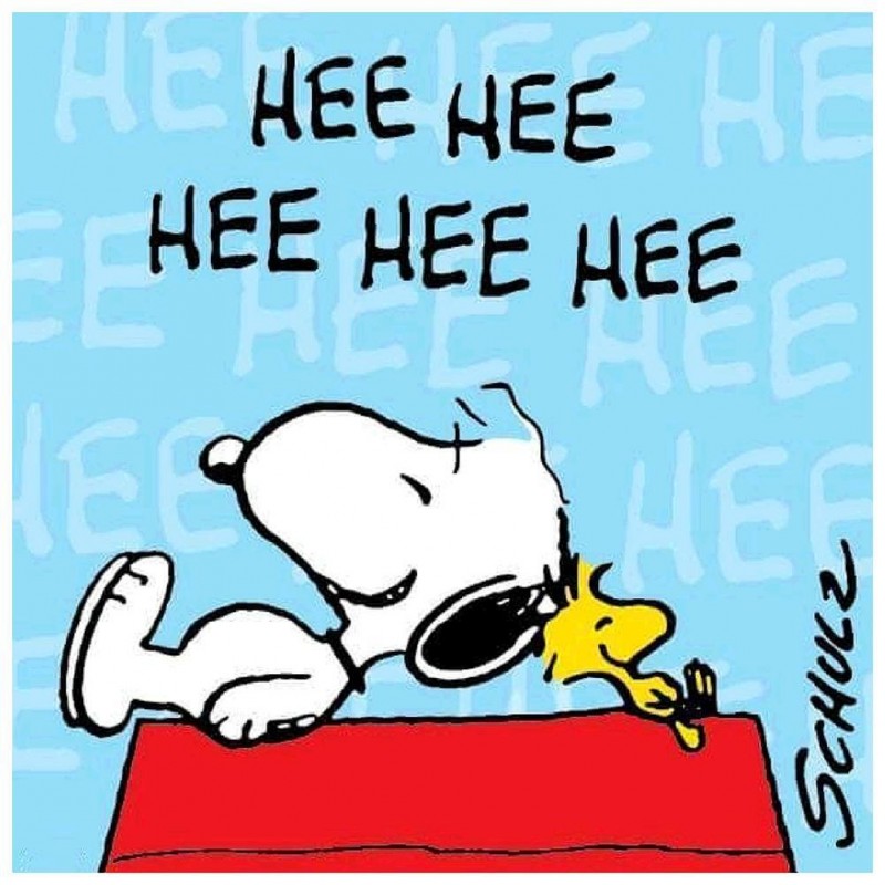 Snoopy - Full Round ...