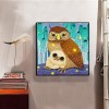 Cartoon Owl - Full Round Diamond Painting