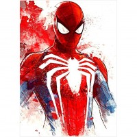 Spiderman - Full Round Di...