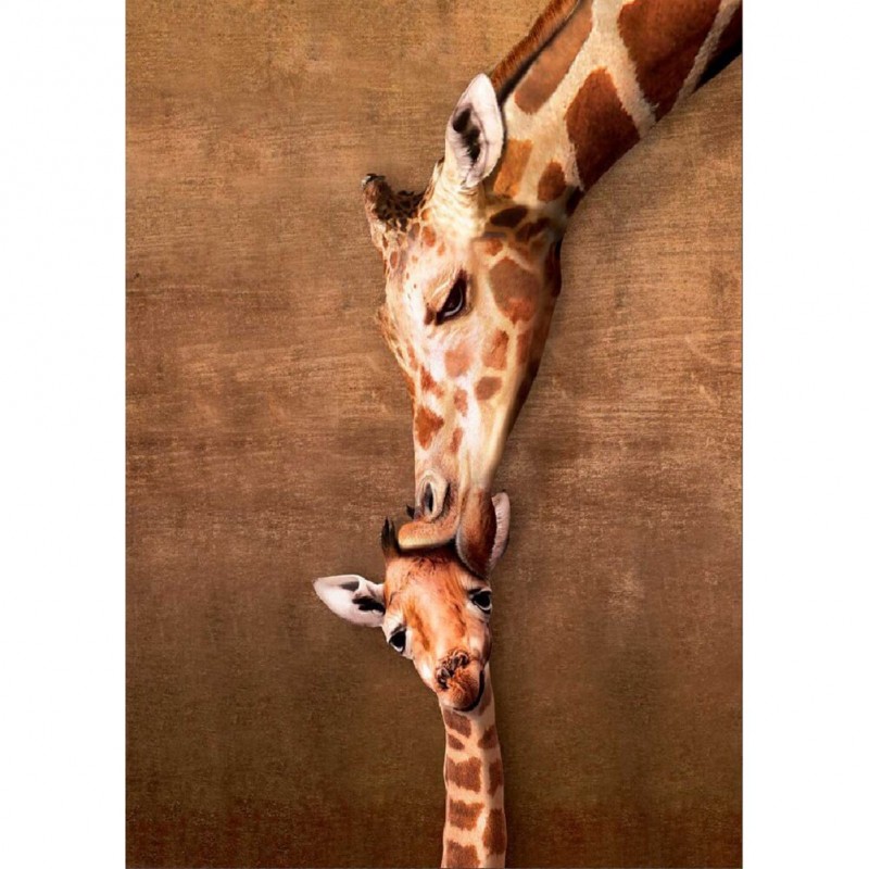 Kissing Giraffe-Full...