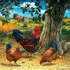 Village Fowl-Full Round Diamond Painting