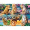 Cats-Full Square Diamond Painting