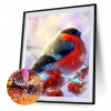 Bird Flower-Full Square Diamond Painting