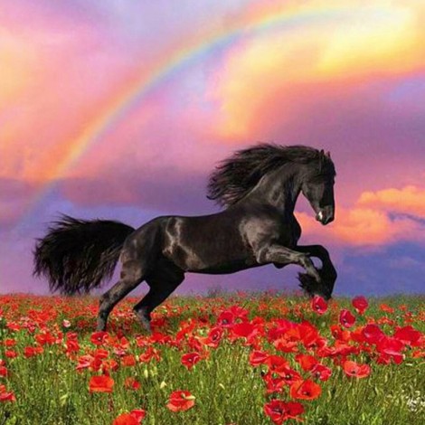 Horse-Full Square Diamond Painting