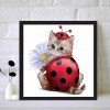 Bowknot Cat-Full Round Diamond Painting