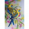 Blue Rose Birds-Full Round Diamond Painting