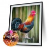 Rooster -Full Round Diamond Painting