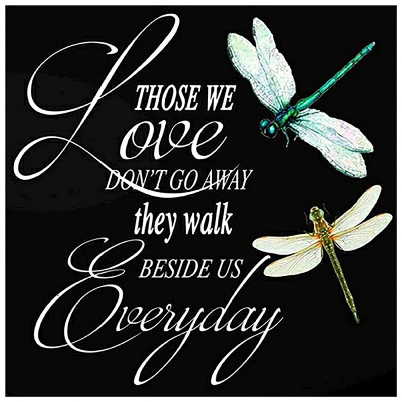 Dragonfly-Full Round...