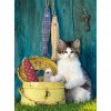 Cat Yard - Full Round Diamond Painting