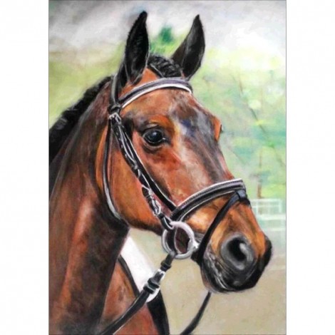 Horse  - Full Round Diamond Painting