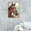 Horse  - Full Round Diamond Painting