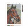 Horse  - Full Round Diamond Painting