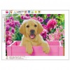 Cute Dog - Partial Round Diamond Painting
