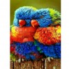 Parrot - Full Square Diamond Painting