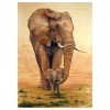 Elephant - Full Round Diamond Painting