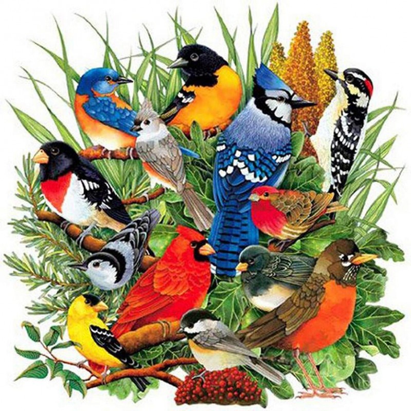 Birds Gathering-Full...