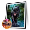 Black Bear-Full Round Diamond Painting