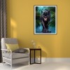 Black Bear-Full Round Diamond Painting