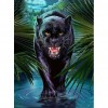 Black Bear-Full Round Diamond Painting