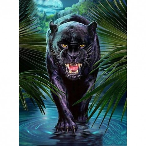Black Bear-Full Round Diamond Painting