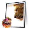 Lion Mother Love-Full Round Diamond Painting