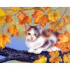 Cat - Full Round Diamond Painting