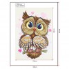 Cute Owl - Crystal Rhinestone Diamond Painting
