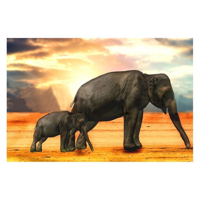 Sunset Mother Elepha...