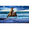 Running Horse - Partial Round Diamond Painting