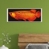 Fish - Full Round Diamond Painting(110x45cm)