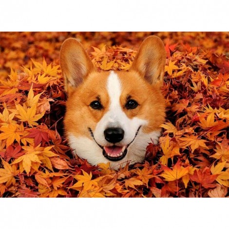 Autumn Dog - Full Round Diamond Painting