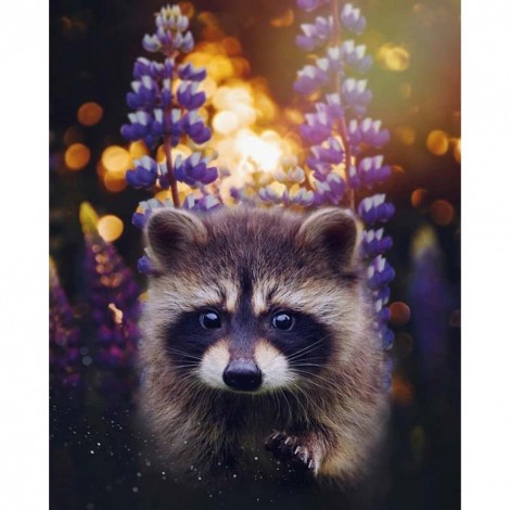 Raccoon - Full Round Diamond Painting