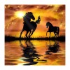 Sunset Horse - Full Round Diamond Painting