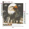Wolf & Eagle-Full Round Diamond Painting