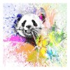 Panda - Full Round Diamond Painting