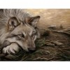 Wolf Dog - Full Round Diamond Painting