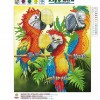 Parrot - Partial Round Diamond Painting