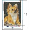 Dog - Full Round Diamond Painting