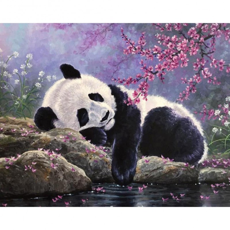 Panda - Full Round D...