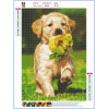 Dog - Full Round Diamond Painting