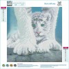 Tiger - Partial Round Diamond Painting