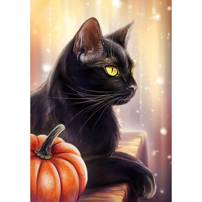 Black Cat - Full Rou...