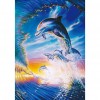 Dolphin - Full Round Diamond Painting