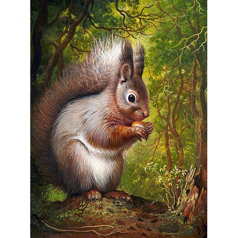 Squirrel - Full Roun...