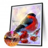 Cute Bullfinch - Full Round Diamond Painting
