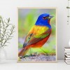 Bird - Full Round Diamond Painting